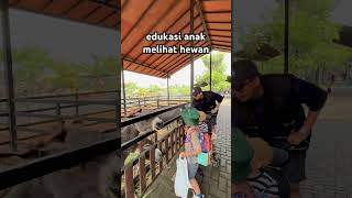 melihat hewan #bogor #wisatabogor #rumpin #hewanlucu #hewan #minizoo #animals #animalshorts