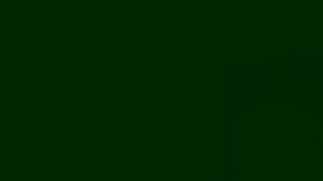 MMI CellEctor Plus: capillary based cell transfer