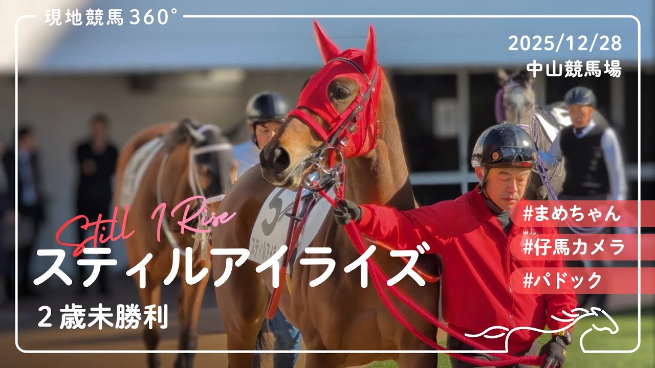 スティルアイライズ | 2歳未勝利 | パドック | 2025/12/28 | 中山競馬