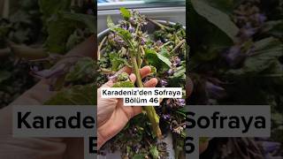 Şu Çiçegin Güzelliğine Bakınbu Çiçek Hayatımıza Güzellik Katan Tüm Kadınlara Gelsin