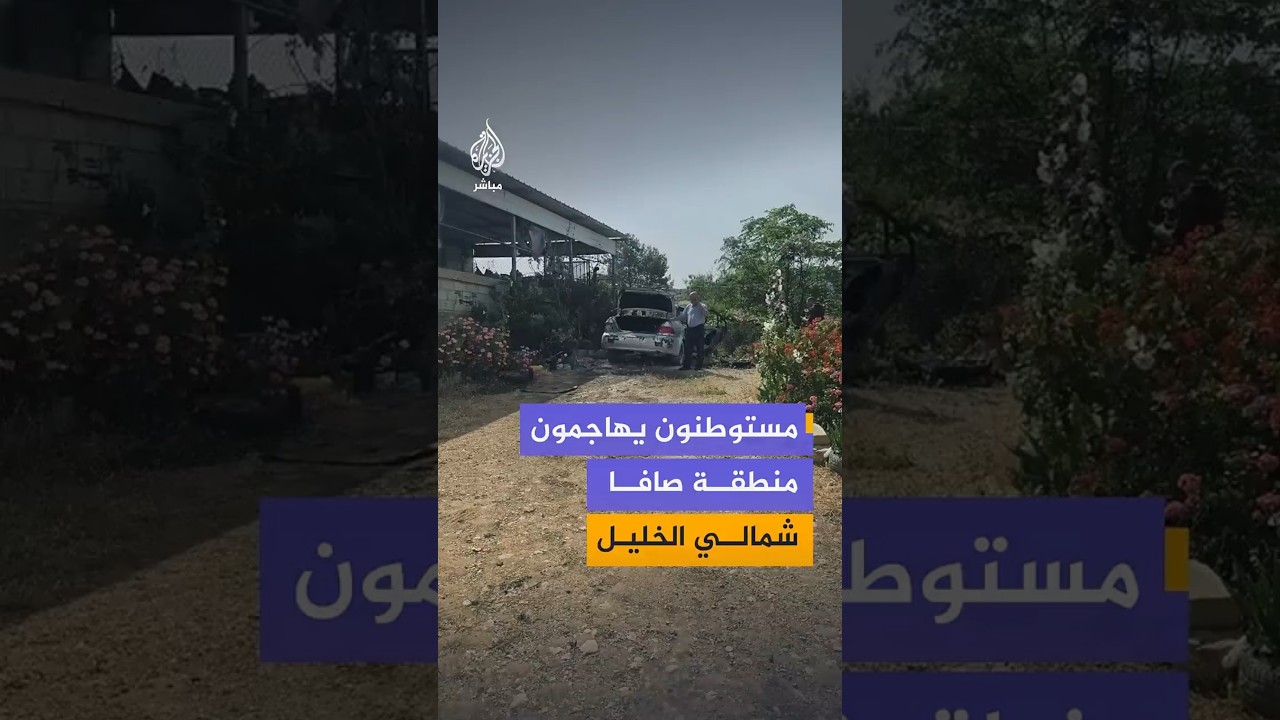 مستوطنون يهاجمون منطقة صافا شمالي الخليل