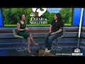 Pet of the week: Meet Mike Jack, a Belgian Malinois Mix | NBC 7 San Diego