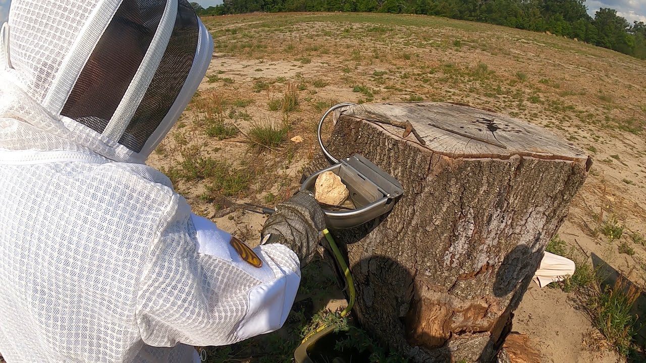 Bee Hydration Station: Apiary Live