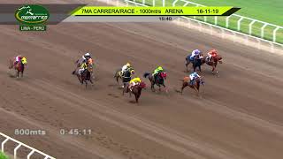 Vidéo de la course PMU HANDICAP 1000