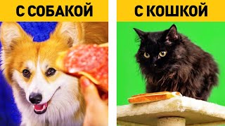 ЖИЗНЬ С СОБАКОЙ VS ЖИЗНЬ С КОШКОЙ. Как живется с корги || «Сделай мне смешно!» – Истории из жизни