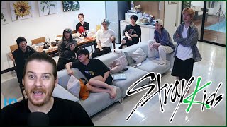 STRAY KIDS: [SKZ LOG] A Day That Happened To Be Filmed | 2023 STAYweeK REACTION