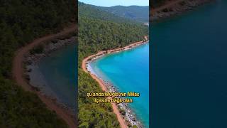 Masmavi Bir Deniz, Yemyeşil Bir Orman Ve Huzur Dolu Bir Ile Karşınızdayım