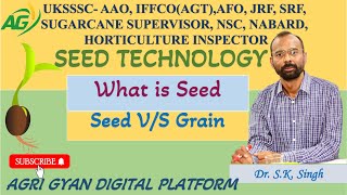 What is Seed ?                              Seed V/S Grains Wealth