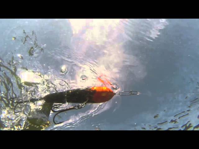 Lee Lures Water Chopper surface bait demo 