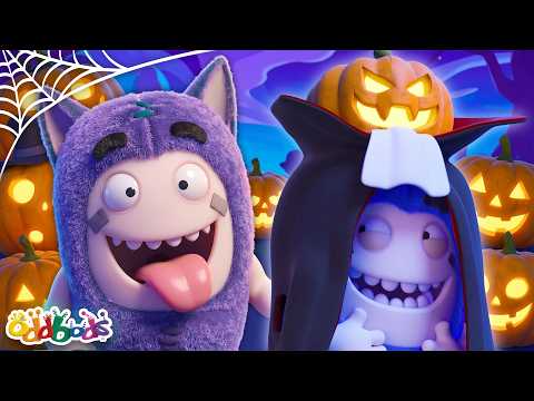Der Kürbis-Wettbewerb zu Halloween 🎃 Oddbods - Lustige Cartoons für Kinder | Moonbug Kids Deutsch