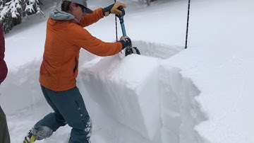 6"-10" of new snow, same persistent weak layer.