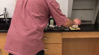 Flame Tests and Line Spectrum Lab