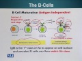 BIO201 Cell Biology Lecture No 124