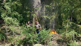 Looking For Dinosaurs In The Deep Forests Of Dinosaur Island.