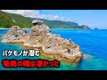 [#6奄美大島8日間]4日目、奄美の磯で釣りしたらいきなり竿がひん曲がった！魚だらけでポテンシャル高すぎです。#奄美大島 #磯釣り #大和村 #仁太丸