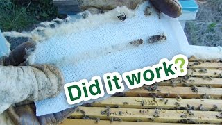 Beekeeping  - Towel Beetle Trap? - Did it work?