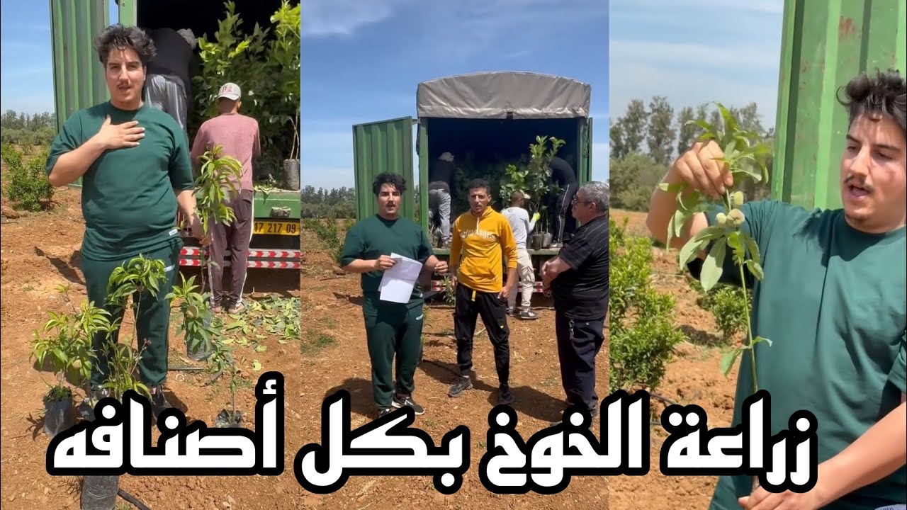 مشروع غراسة حقل الخوخ والنكتارين بكل الاصناف  في استثمار ناجح Agriculture  Nectarine et pêche