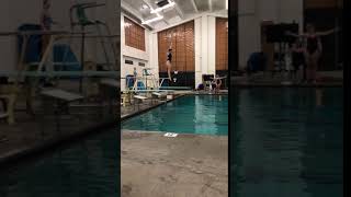 5322 Reverse Flip Full Twist On 1 Meter