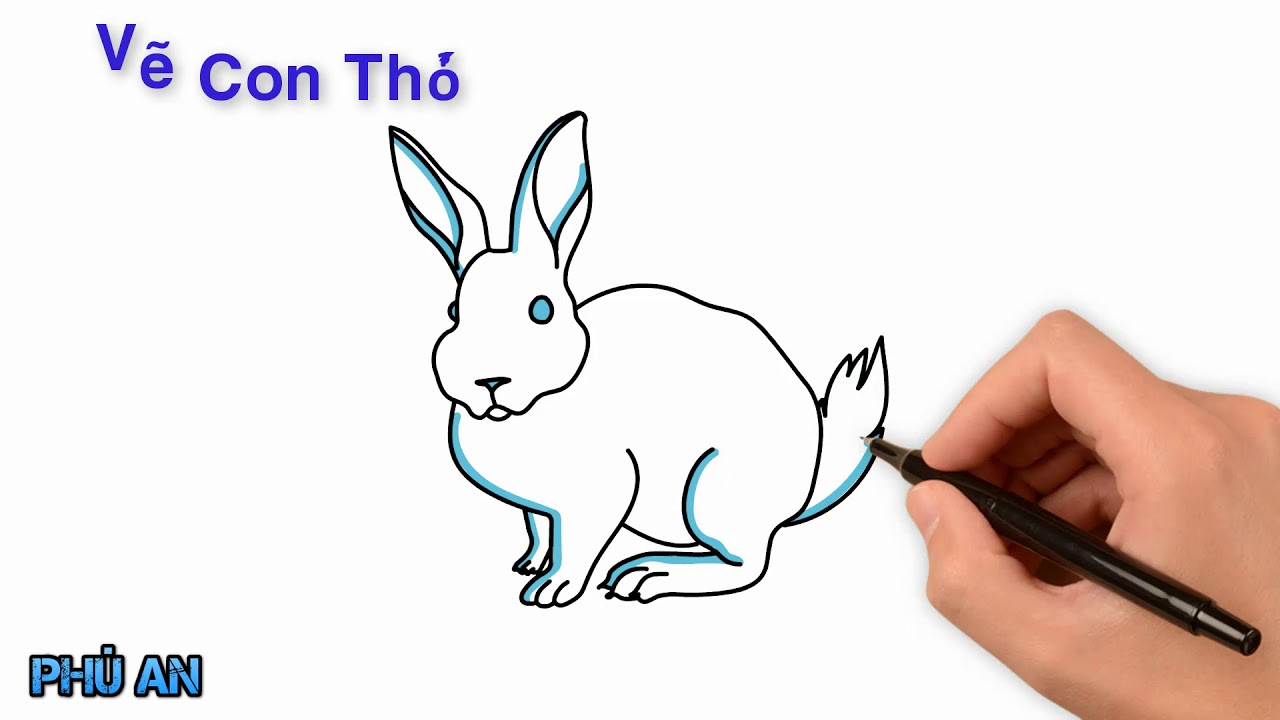 Vẽ Con Thỏ Dễ Thương - Dạy Tô Màu Cho Bé Tự Học Tại Nhà - 1.Covadoc.Vn