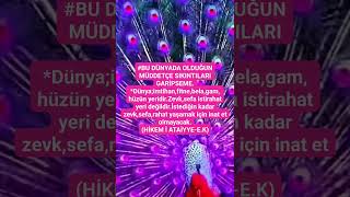 Dünyada Olduğun Müddetçe... - Hi̇kem İ Atai̇yye - E.k - Shorts