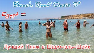 ПРОБРАЛИСЬ ЧЕРЕЗ ОХРАНУ НА СОСЕДНИЙ ПЛЯЖ ‼️REEF OASIS Beach Resort 2024 👀СРАВНИВАЕМ с JAZ FANARA 🇪🇬