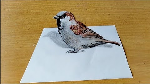 How to draw realistic 3d sparrow bird by using colour pencils sketches.