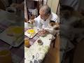 #住職の朝ごはん うさぎトースト 梅ジャム ヨーグルト コーヒー #猫のいる暮らし #猫 #那須の長楽寺