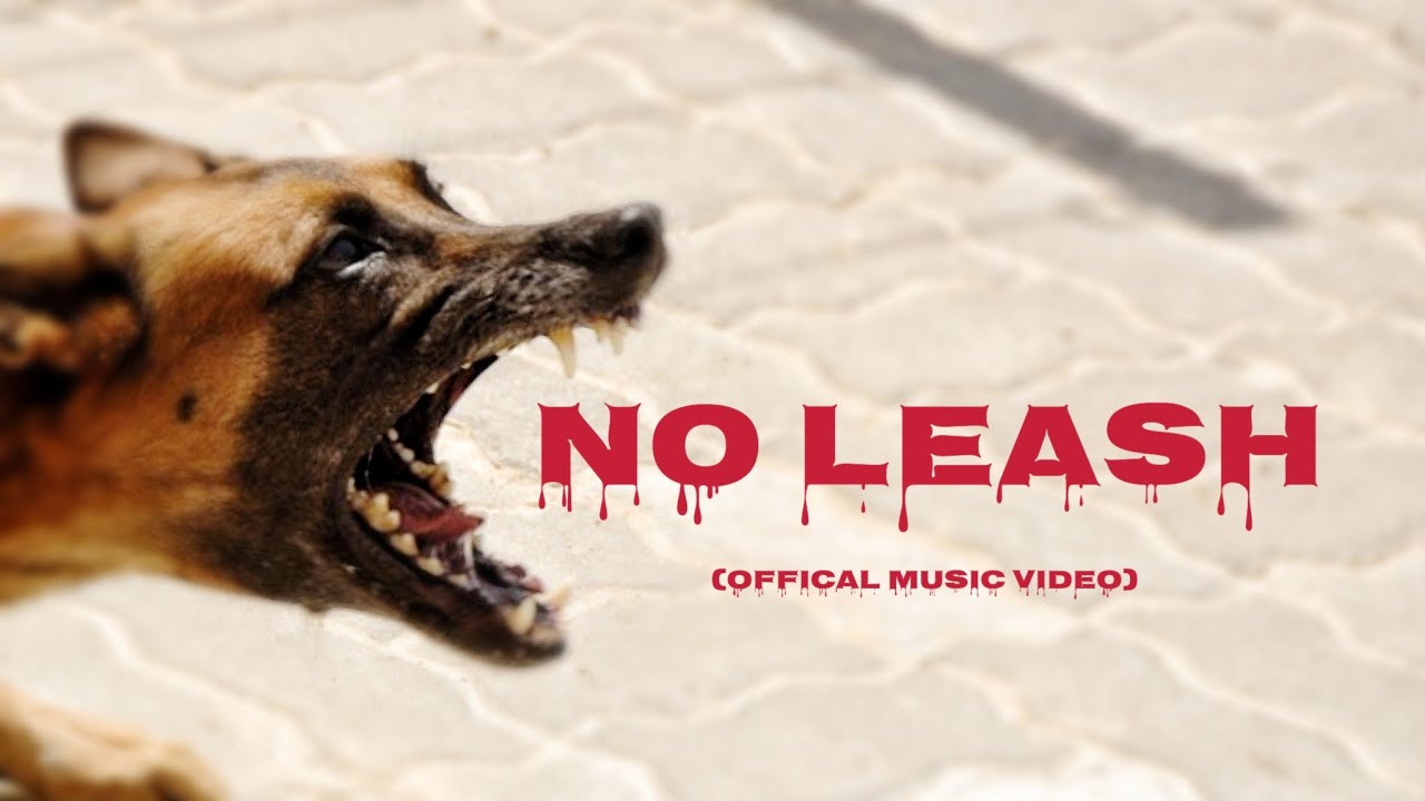 No Leash(Official Music Video)