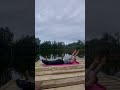 Dynamic ABS 1