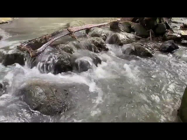 Gentle River Sounds for Deep Sleep | Relaxing Water Flow ASMR to Calm the Mind