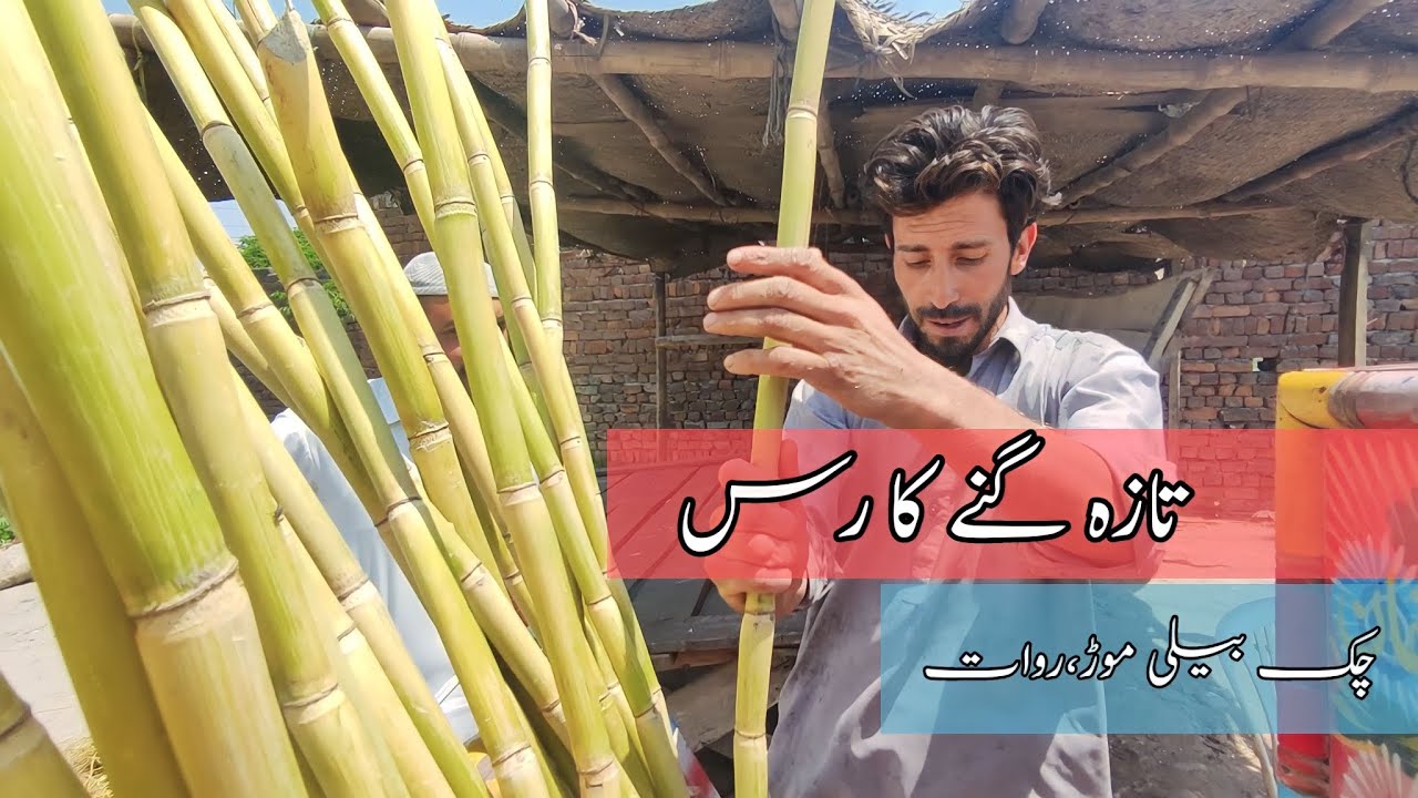 Fresh Sugarcane Juice • Chakbeli Mor Rawat Rawalpindi YouTube
