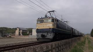 クラブツーリズム企画・両毛線団体列車EF64-37+旧客4B+EF65-501