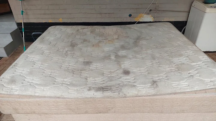 How Do You Use Baking Soda To Kill BedBugs FAST!