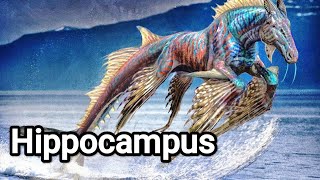 Hippocampus: Mythical Horse With Fish Tail Created by Poseidon - Greek Mythology