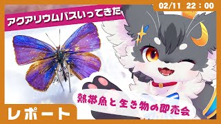 【レポート】「アクアリウムバス.vol37 いってきた！」爬虫類・熱帯魚・昆虫の即売会イベントをレポート✨【ケモノVtuber】