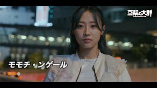 豆柴の大群　モモチ・ンゲール　セット モモチ・ンゲール على X: 