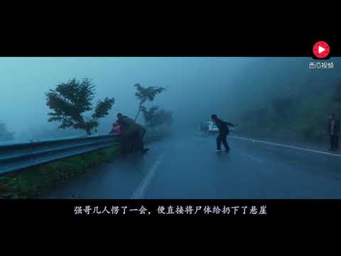 一部饱受争议的韩国惊悚片，号称能吓哭观众，但很多人表示没看懂