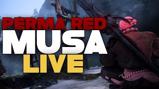 : Red Gosu Musa|80/100 Embers|PVE PVP|!Advancedgg !Invicta | LIVE on Twitch.tv/Caarl