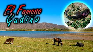 CABRA CORRAL: Pescando en GUDIÑO, un lugar INCREIBLE 🐟🔥 4K UHD Salta Argentina
