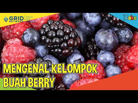 Video: A Strawberry Bukan Berry