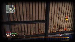 Kevin's Multi-Cod Montage
