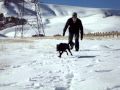 Cute puppy zoey in snow