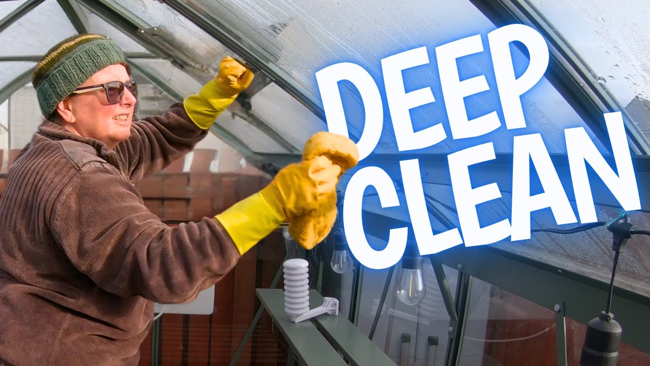 Основные советы по очистке и фумигации теплицы