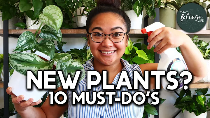 10 MUST-do's for your New Plants! | Plant Care 101 - DayDayNews