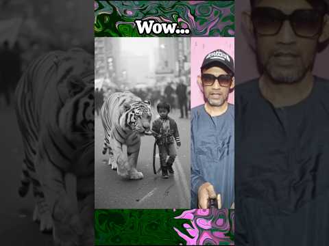 واو مذهل فيديوهات قصيرة رائجة الولايات المتحدة 