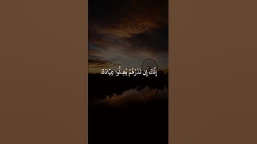نوح وقومه | القران الكريم #quran #قران_كريم #اسلاميات #قران #قران_كريم_بصوت_جميل_جدا