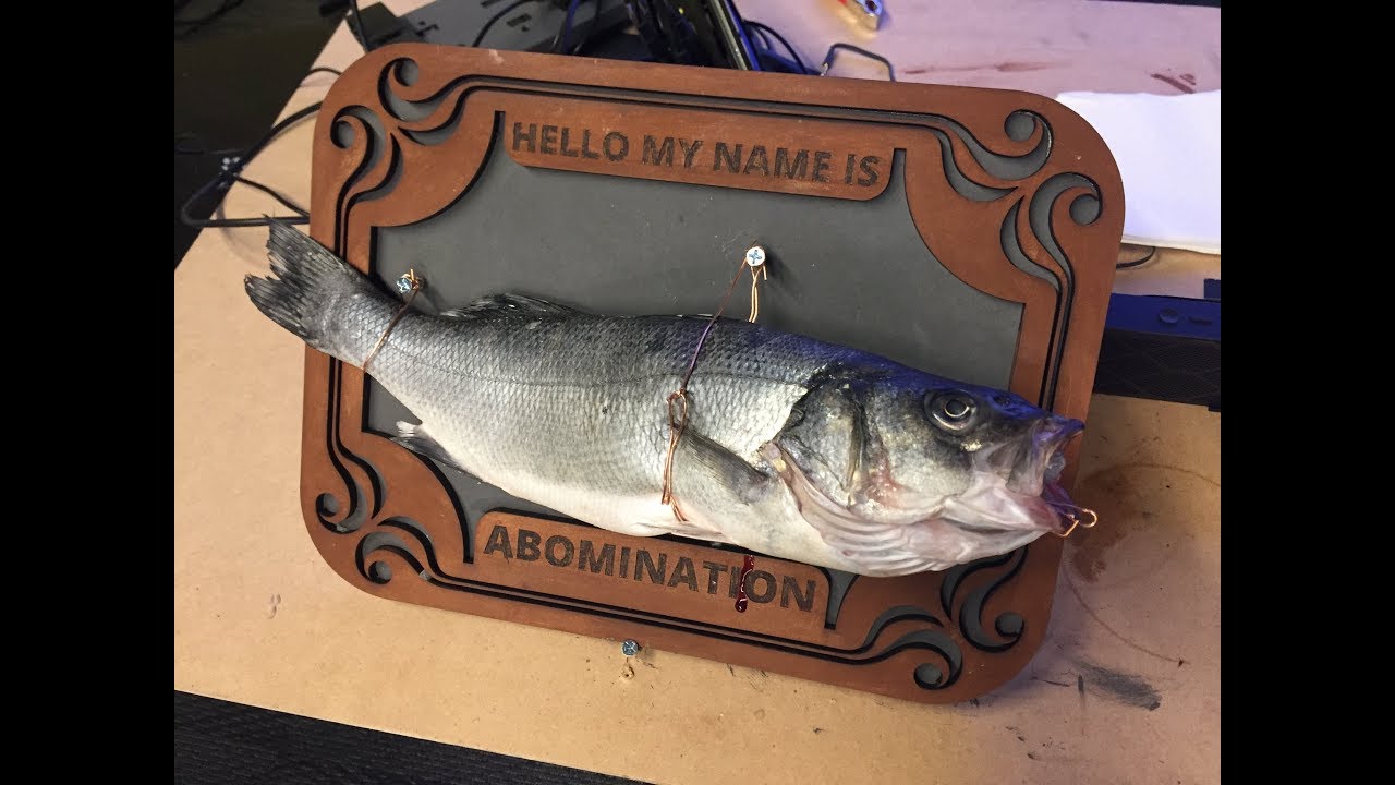 Tuned a fish Boston Stupid Hackathon 2018 YouTube