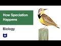 Understanding Speciation and Reproductive Barriers