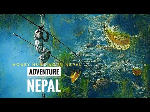 HONEY HUNTING FESTIVAL IN NEPAL 2018 || ADVENTURE NEPAL || 