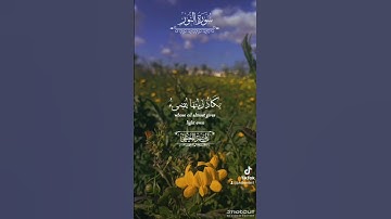سورة النور بتلاوة الشيخ ماهر المعيقلي #اكسبلور #المصحف #القرآن_الكريم #حالات_واتس  #تلاوة_خاشعة